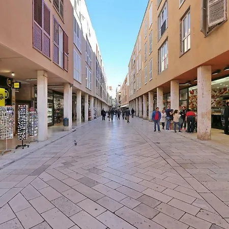 בית הארחה Neva Modern זאדאר